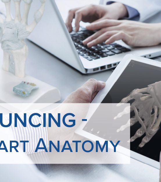 Announcing 3B SMART ANATOMY – the new Generation of Anatomical Models
